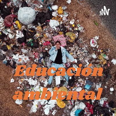 Trabajo educación ambiental 3ro B