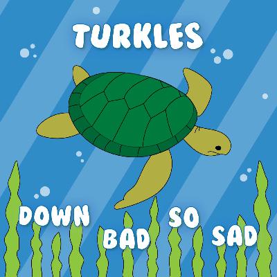 Episode 17: Turkles