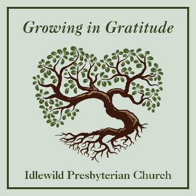 Sunday Sermon: Growing in Gratitude: Cultivating the Soil of Soul