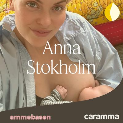 Anna Stokholm - Hvordan skaber man sig en landsby?