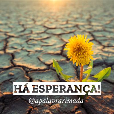 Há esperança!