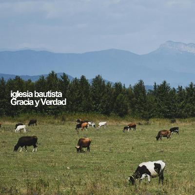Atados a Cristo / Jordan RIvera