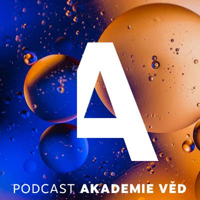 Šikana. Zažívá ji u nás každé desáté dítě. Co s tím? Ptáme se psycholožky Lenky Kollerové