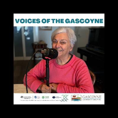 Margot Steadman - Sliding Doors led me to Dalgety Downs