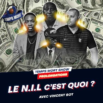 Prolongations : C'est quoi le N.I.L ? avec Vince BOT