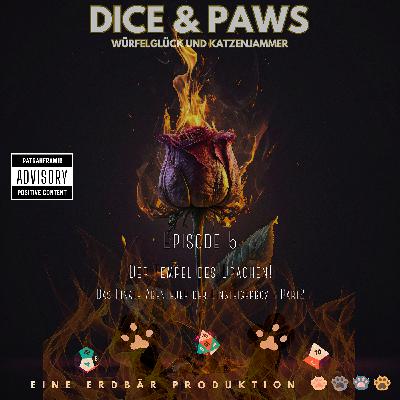 #05 - Das Grand Final. Das Ende der Einsteigerbox. Joggen für Katzen!