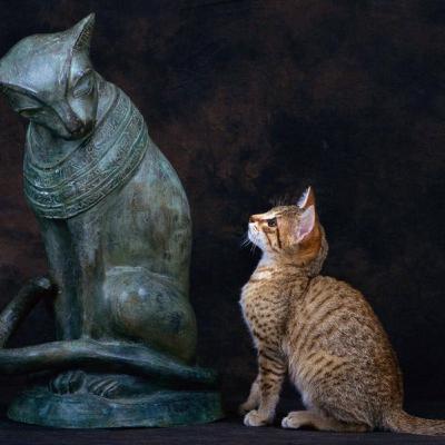 Gwern on possibility: “it is either easy or impossible—and nothing is impossible”