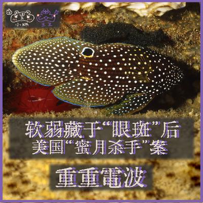 E40.软弱藏于“眼斑”后：美国“蜜月杀手”案