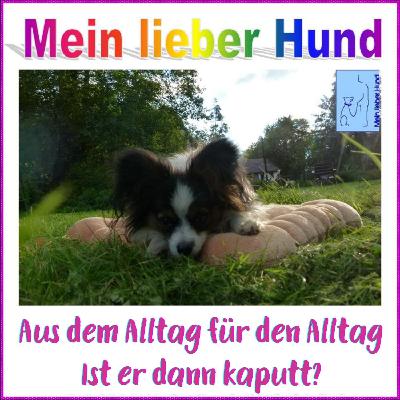 74 - Ist der Hund dann kaputt?