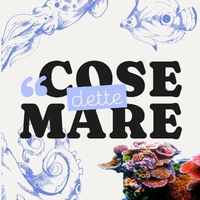 #31 - Coralli: Un giorno contro le RNasi