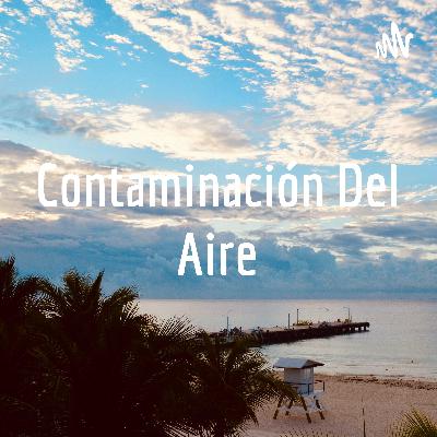 Contaminación del Aire 🌬️🌳