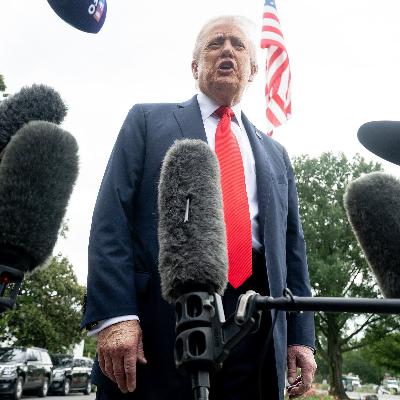 How can we describe Trump's economic interventions?