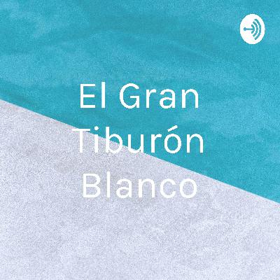 El gran Tiburón blanco