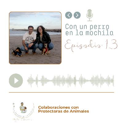 Episodio 13 - Colaboraciones con protectoras de animales