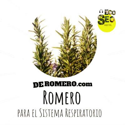 Romero para el Sistema Respiratorio Romero para el Sistema Respiratorio