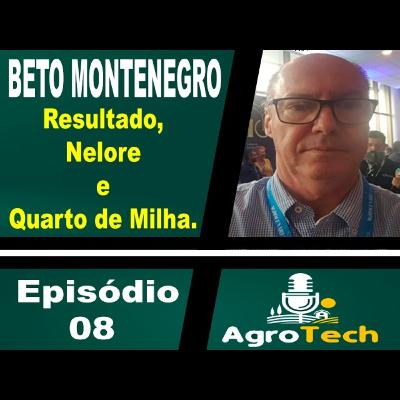 08- Beto Montenegro- Resultado, Nelore e Quarto de milha. 08- Beto Montenegro- Resultado, Nelore e Quarto de milha.
