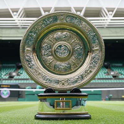 🏆 ¡FINAL FEMENINA WIMBLEDON 2025 - ANÁLISIS COMPLETO! 💥 (Clip)