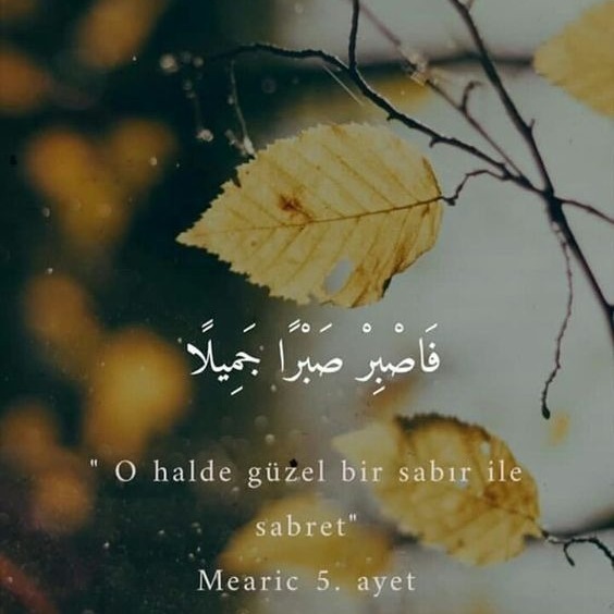 033-Al-Ahzab