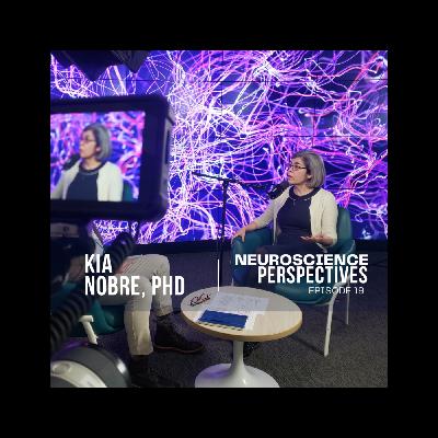 How are the brain systems that support adaptive human cognition and behavior organized? How are the brain systems that support adaptive human cognition and behavior organized?