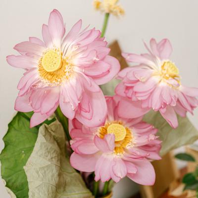 #6 Mình học được gì khi bị từ chối?