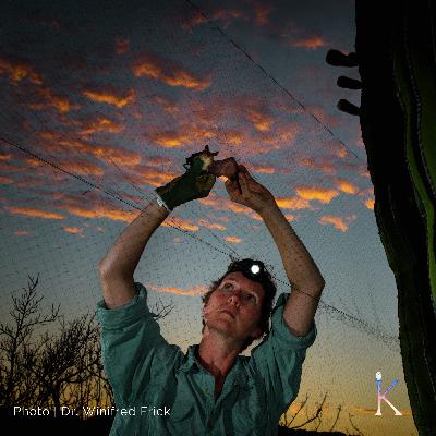 Bat Woman | With Dr. Winifred Frick, Research Biologist and Chief Scientist