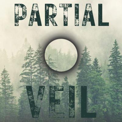 Book Recommendation: Partial Veil