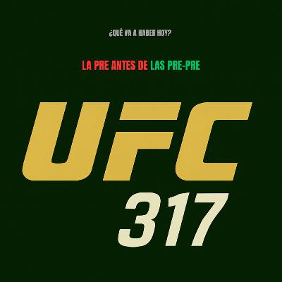 Episodio 65 - La pre de la UFC 317