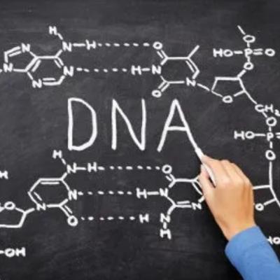 Descoberta do DNA