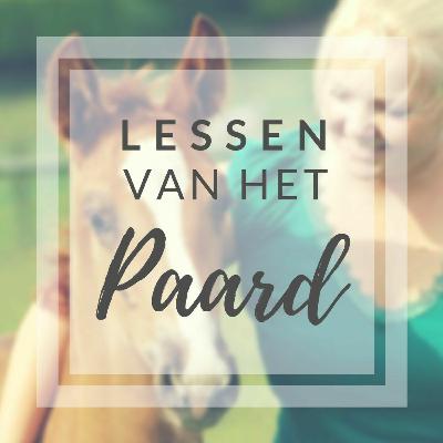 LVHP 4 - Connectie vinden