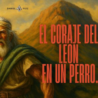 El Coraje del León en un Perro. Daniel Ruíz. San Felipe Mx.