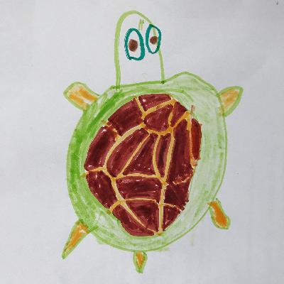 Special Episode: Terrific Turtles