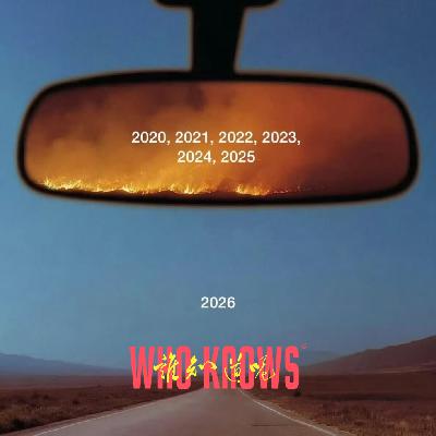 068.拜拜了2025！领导的小黑屋？就因我不XX被同事说不合群？｜who言乱语