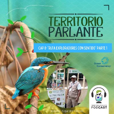 Cap 8-Temporada II: "Ruta Exploradores con Sentido" Parte 1 Cap 8-Temporada II: "Ruta Exploradores con Sentido" Parte 1