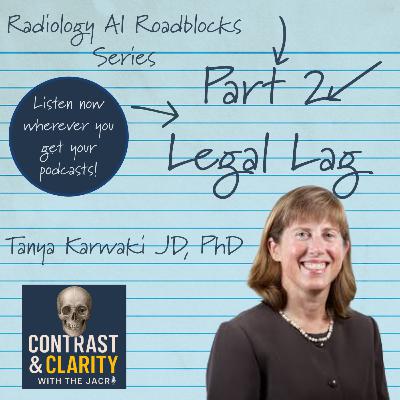 33. AI Roadblocks Part 2: Legal Lag