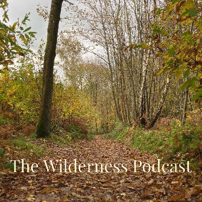 Episode XIV - Autumn