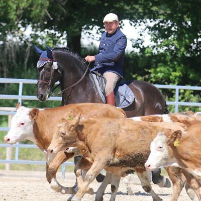 Viel Spaß mit und geniales Training durch Working Equitation