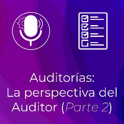 Auditorías: La Perspectiva del Auditor (Parte 2)
