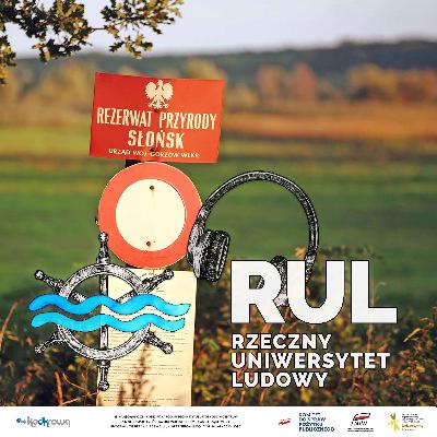 Słońce – Słońsk – Henryk Radowski