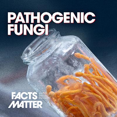 Two Pathogenic Fungi Crossed the Species Barrier—Can Now Infect Humans