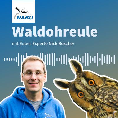 Eine Eule auf Wohnungssuche: Die Schleiereule mit Dr. Nick Büscher Eine Eule auf Wohnungssuche: Die Schleiereule mit Dr. Nick Büscher