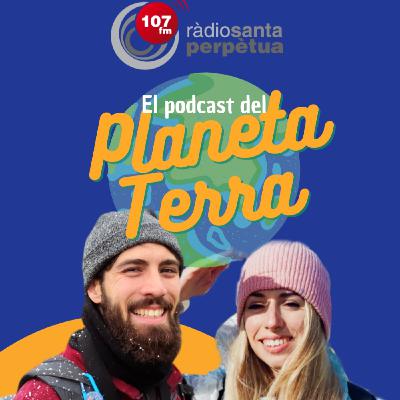 3.2 Massa eucaliptus i la personalitat dels falcons