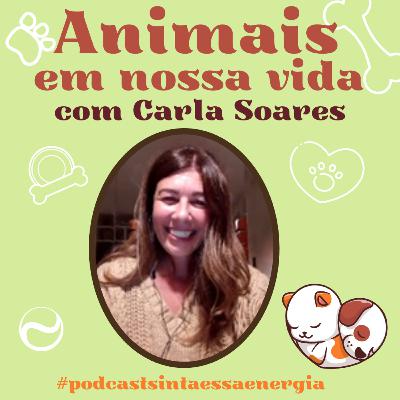 Animais em nossa vida
