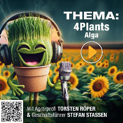 #12: 4Plants ALGA - stärkt die Pflanzen bei Stress, Spritzschock und Krankheiten! #12: 4Plants ALGA - stärkt die Pflanzen bei Stress, Spritzschock und Krankheiten!