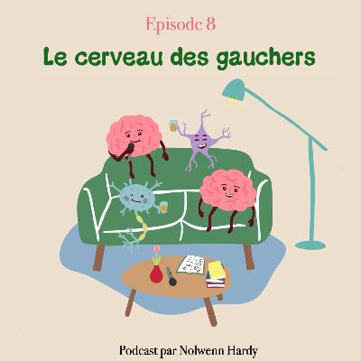 Le cerveau des gauchers