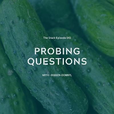 Ep043 Probing Questions wth ~ribben-donnyl