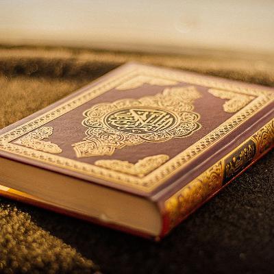 ماذا قال المشركون لما سمعوا القرآن ؟ - تفسير سورة الأحقاف - الجزء الثالث