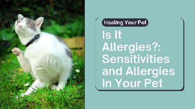 Does Your Pet Have Allergies?: Understanding the rise of allergies and sensitivities in pets. Does Your Pet Have Allergies?: Understanding the rise of allergies and sensitivities in pets.