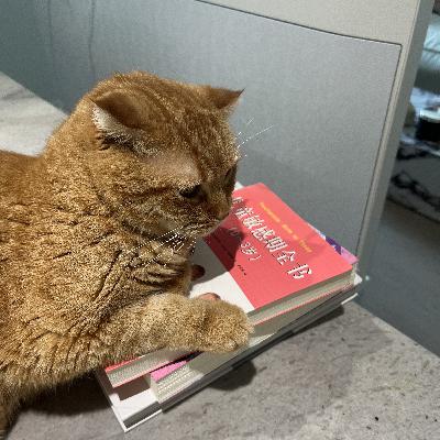 史蒂夫说441期 - 回信：父母婚姻不和是如何“遗传”给子女的？