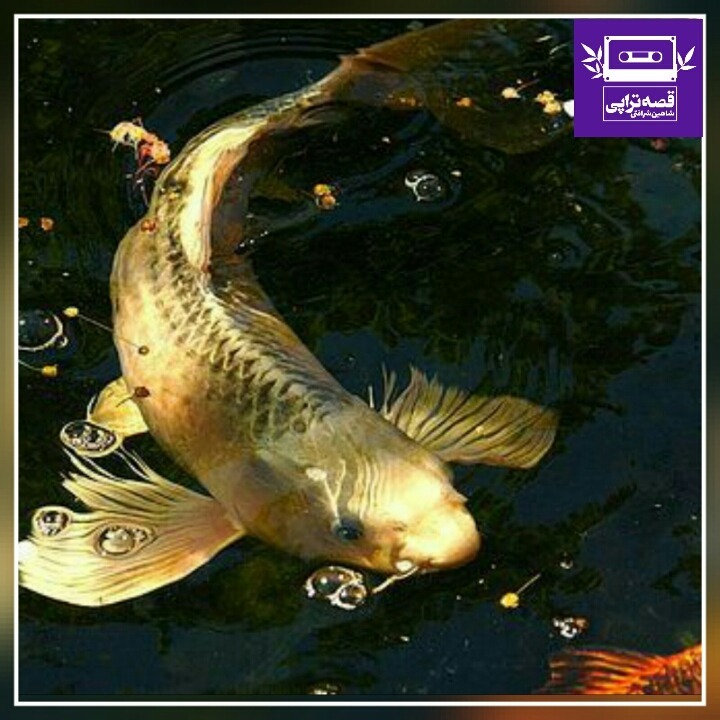 رادیو صدای زمین