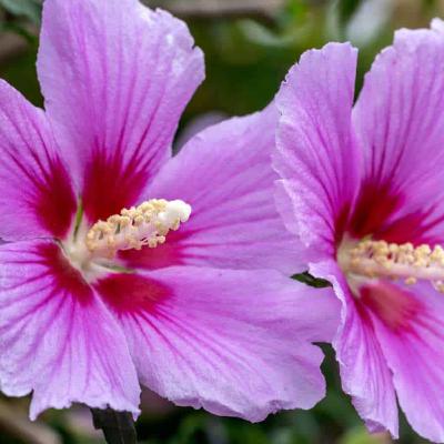 Nourishing Communion!